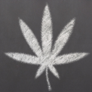 image - Cannabis At School Square