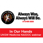 Image - In Our Hands - UNSW Medicine NAIDOC webinar