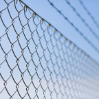 image - Barbed Wire 280